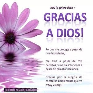 Meet your Posher, Antonio